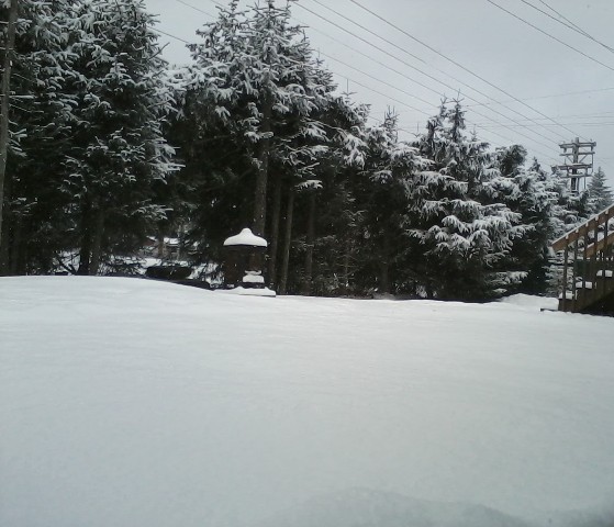 more snow in juneau