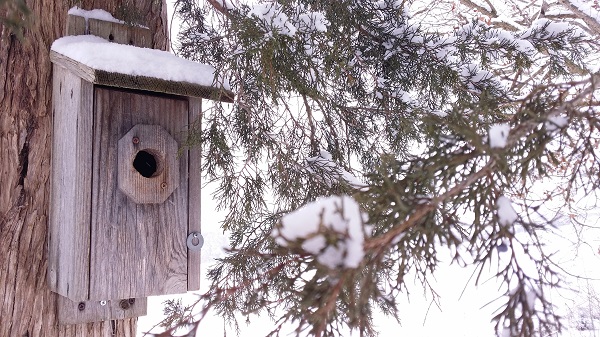 snowy birdhouse