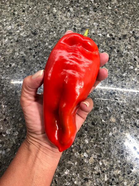 pepper big bertha