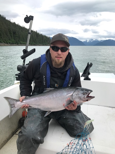 alaska fish king salmon