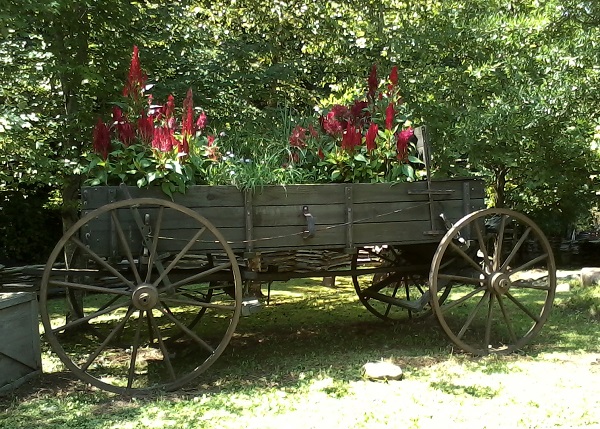 dollywood wagon