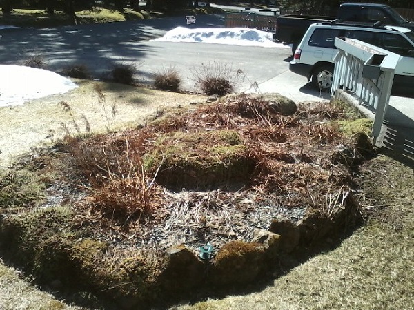 front flower bed