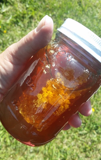 honey with honeycomb in jar