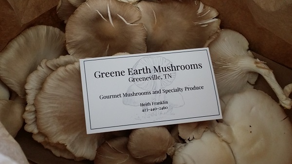 greene earth mushrooms greeneville tennessee