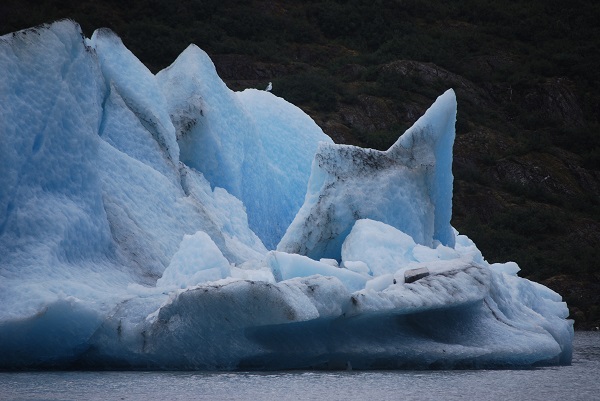 iceberg mendenhall glacier juneau alaska