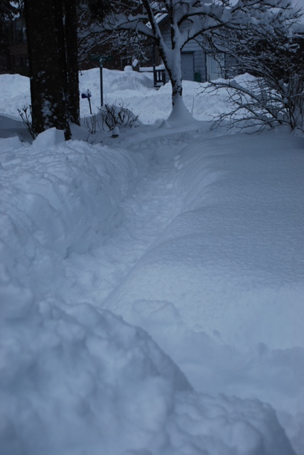 snow trench