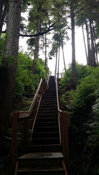 sitka hike stairway